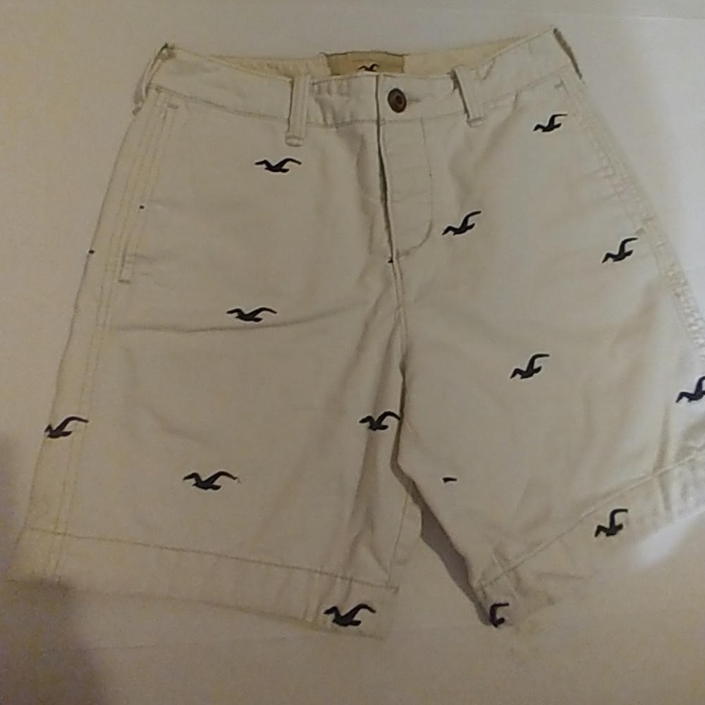 Men Hollister Logo Shorts (28)